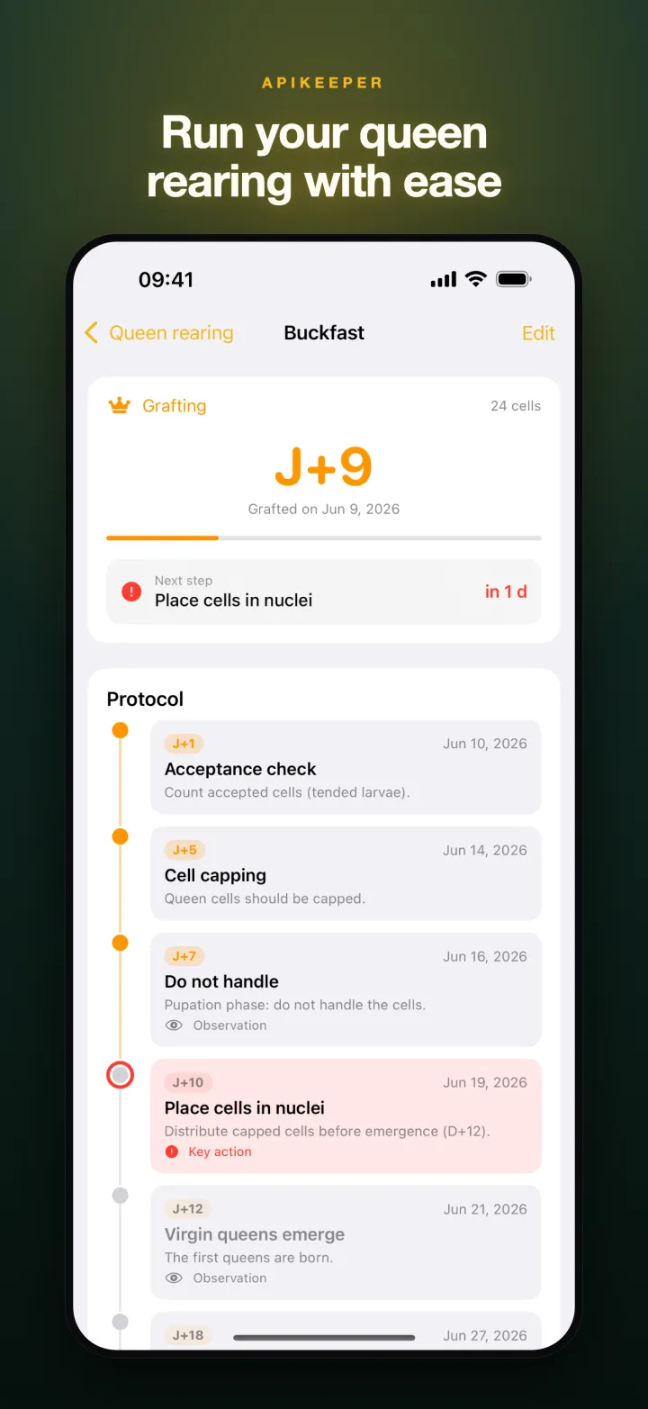 ApiKeeper 7